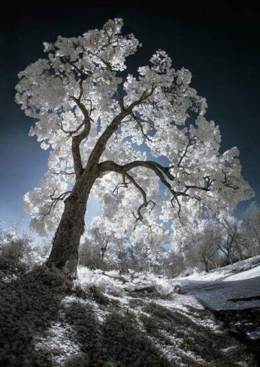 131119122_404593610954581_668246068141732294_n