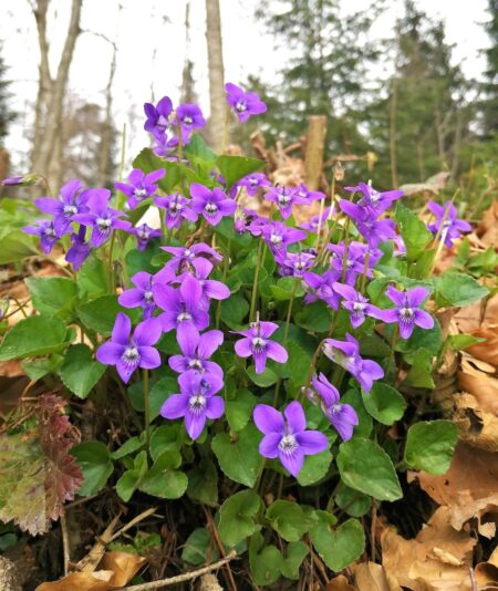 430609496_1021259089471966_54978688616147213_n