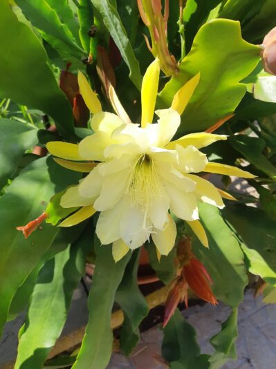 213202215_1317521981977769_3927900322869739010_n (1)