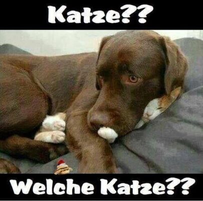 ac428e781fabdb02c4b37c534a01cfc8