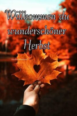 FB_IMG_1758523683825