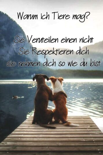 5d13c9b22272e2c7d46933e0088317b0