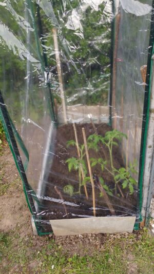 IMG_20210503_171847864