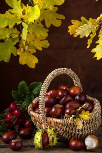 121775408_3338532122931565_5137260970880764705_o