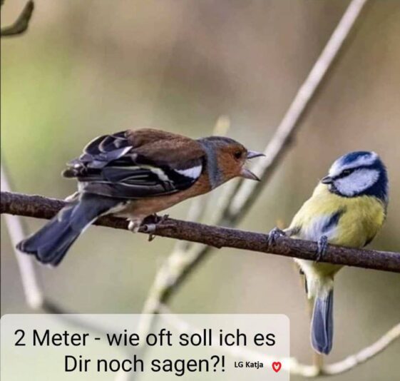 156620199_3787321008013173_1453261547899103642_n