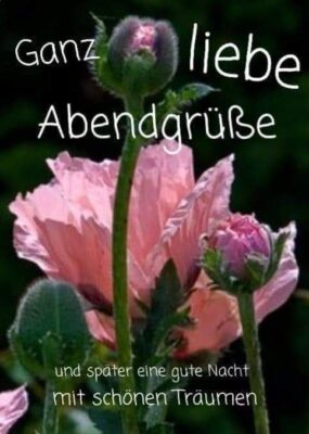 FB_IMG_1717343750392