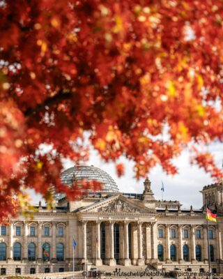 561579643_1219209483574340_5420817952734097423_n