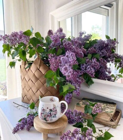 442411829_3707793372842048_4472304722388465200_n