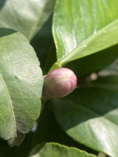 C3D6129B-52AE-4093-8D50-82AAA885AF41