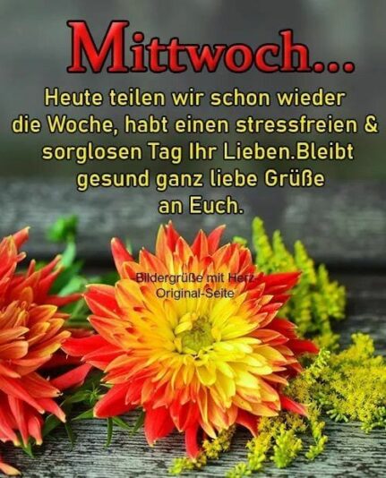 175709522_1213878582378960_5879848498151575568_n (1)