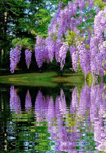 10c4c7527ababf8ad54ac5498223b91d