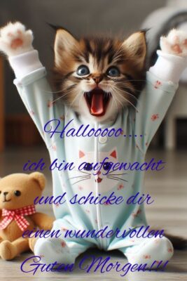 070a173a15bc97f6a5363fc98db5d3b8