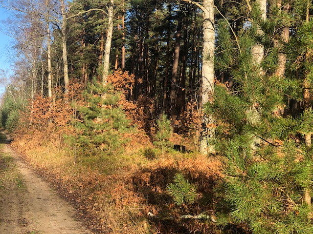 29.11.20.jpeg 2.jpeg 6