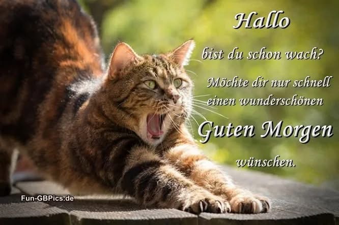 IMG_7435.JPG Hallo schon wach