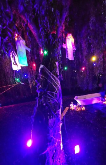 Screenshot_20250918_215013_WhatsApp