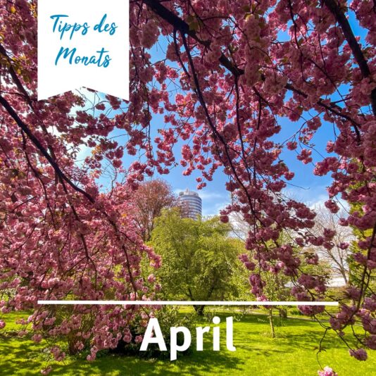 431428093_829838025838669_87362284434929885_n