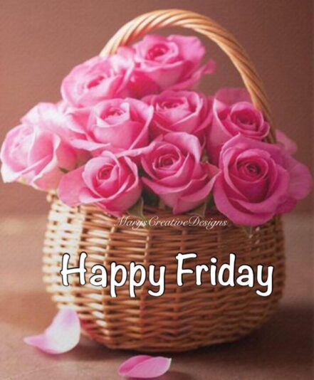 287902577_3224196897818105_961355008851195807_n