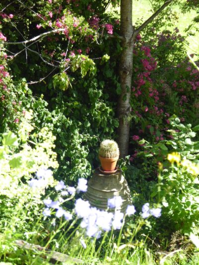 12.7.2021 Montag...früh... (167)