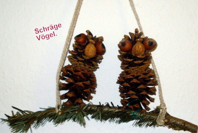 Schräge Vögel