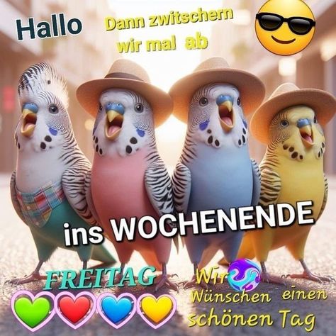 5ae9a0f55ccf3ef2de411bdddaf95ff7