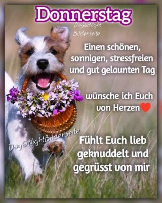 295501996_1518511205269847_3652393457685978192_n (2)