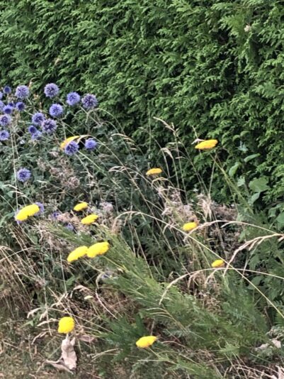 F142224A-E966-42E7-A36D-BCBC3A743BF0