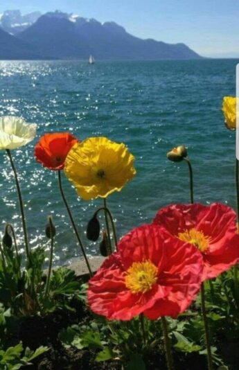 150244488_1166825033771801_9174531011576718072_o