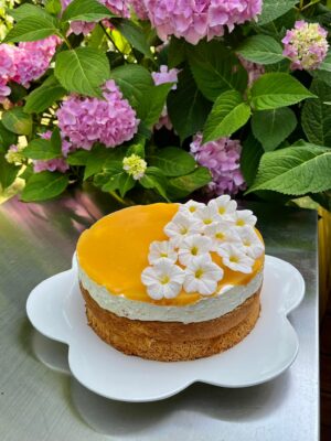 294066006_3173780596284107_1277584867375356337_n