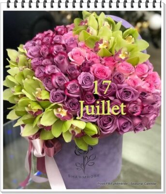 294238124_5565537873496263_6556475378890833028_n