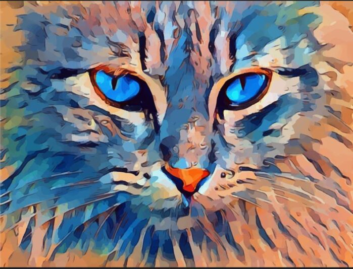 CAT ORANGE BLAU