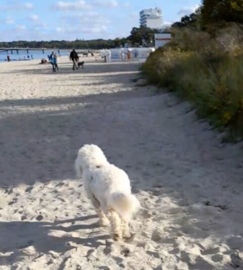 Screenshot_20251019_220431_Gallery