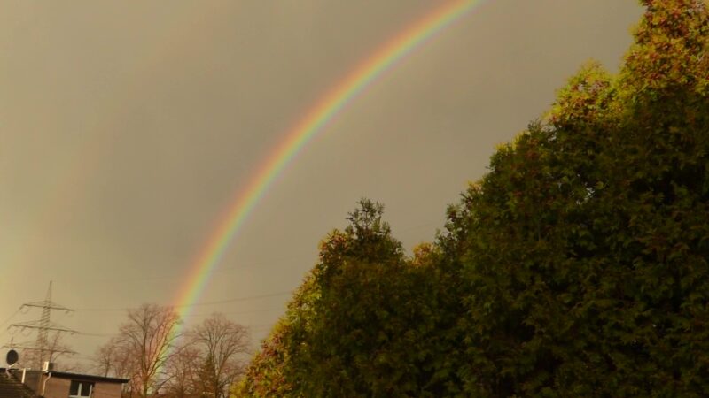 Regenbogen_Moment - Kopie