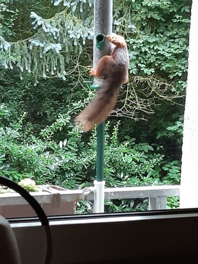 2F6D6D4D-51F7-49D7-B116-79DA1C3902D2