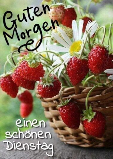 IMG_4742.JPG schönen Dienstag