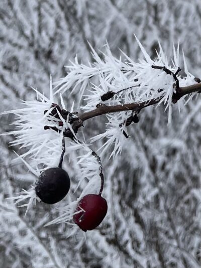 AD9896C4-0D66-451F-AB88-17E9A3747597