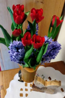 IMG_20250316_174304887