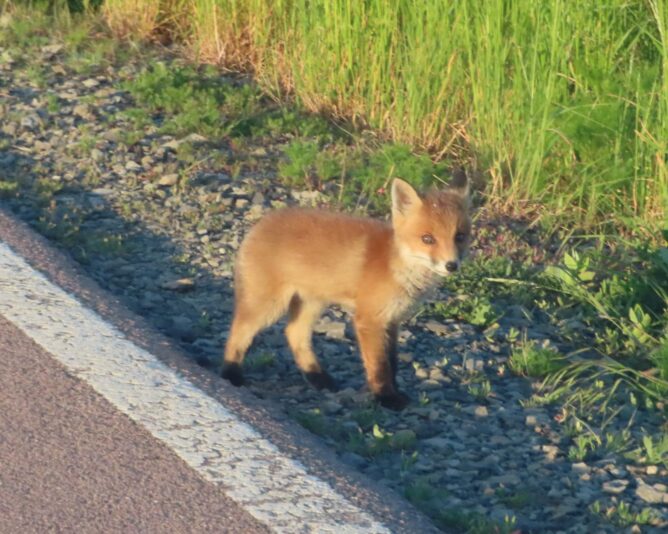 20230530181832_IMG_9113