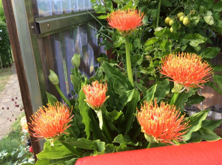 10152792-E4E2-493C-B360-31FBA1F4616C