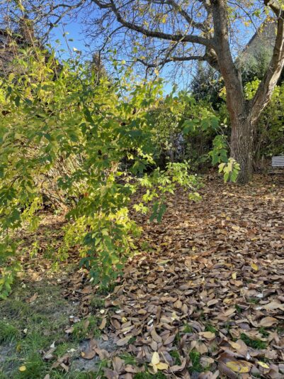 D6D71DAF-74A9-482B-9FFB-24ADC1C47EAA