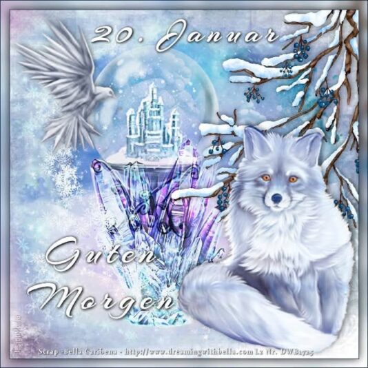 IMG_6667.JPG 20. 1. 25