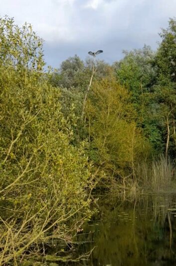 Screenshot_20240810_200920_Gallery