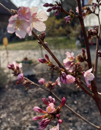 D17CD2EE-A16D-478C-B978-5FE549E83E7B