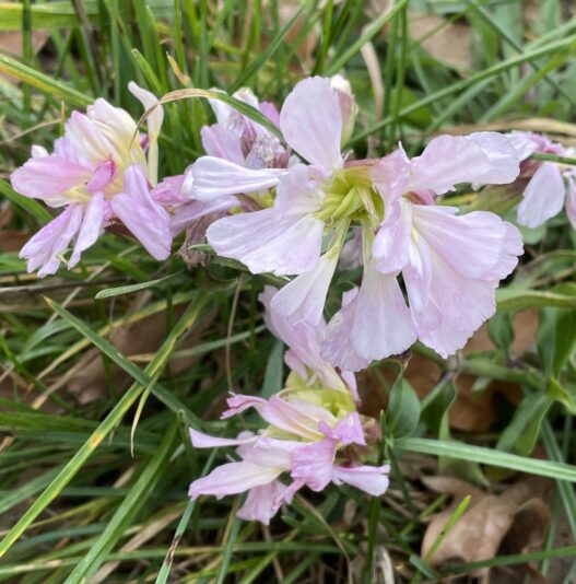 3AE8348D-93C0-4270-BC91-4E31E9831BA0