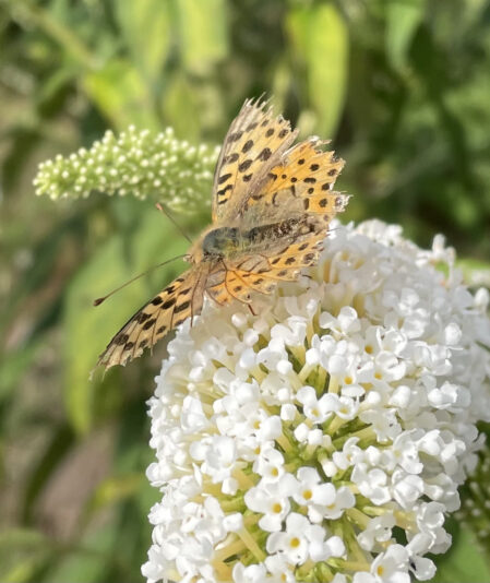 FC119400-BE86-464B-80B5-AC18C4B7724B