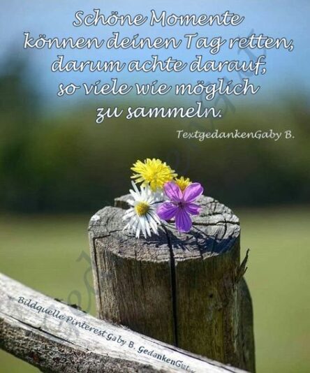 93543d540cf18b1b86e792e5bc879a5b