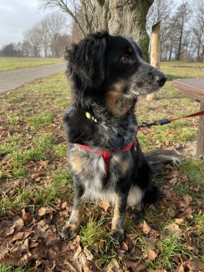 9C46AA4D-322C-49BE-81E1-47A7C7EDAA21