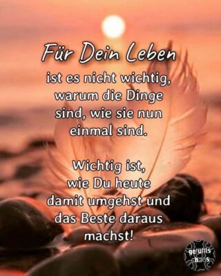 FB_IMG_1764227349152