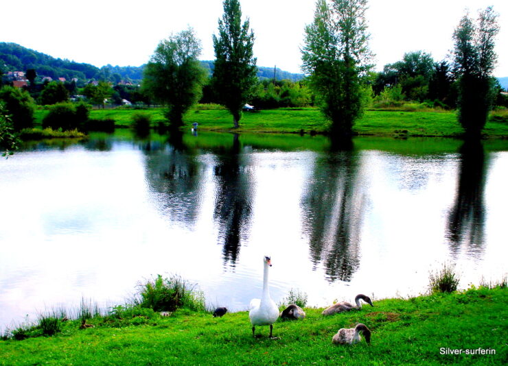 Am Teich bei Rudolstadt - Ausflug mit Engels.
