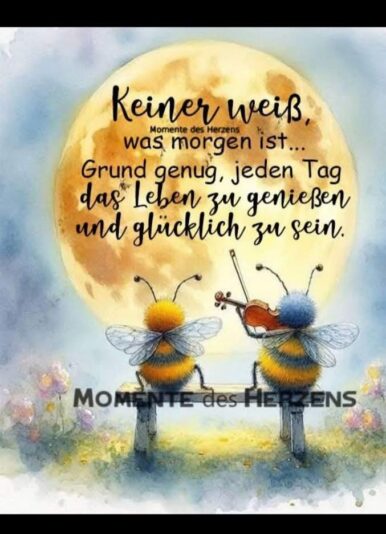 132b8b662b07d08a46a5ff46170e634e