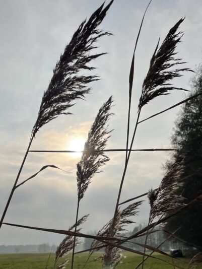 F1821034-3EAD-4179-8BD0-75212B706FEA